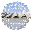 Asbestos removal  - concept image in circular jigsaw puzzle shape