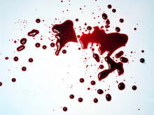 Fake Red Blood Splatter On White Background