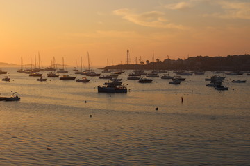 Wall Mural - Sailboats in an east coast harbor at sunset