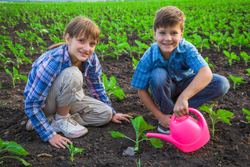 Two kids care the plants on green field