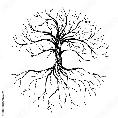 Tree Of Life Vector Illustration With Tree And Roots