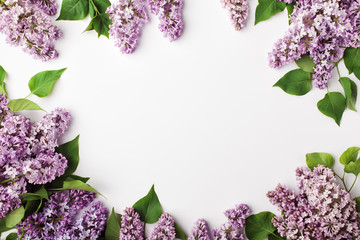  Frame of spring lilac flowers on white background. Flat lay, top view.