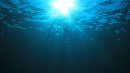 Canvas Print - Underwater blue ocean background