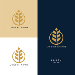 Luxury Grain wheat logo concept, Agriculture wheat Logo Template vector icon