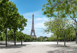 Fototapeta Boho - Paris, Eiffel tower behind spring trees, panorama from the Champ de Mars