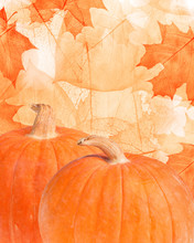 Two Red Pumpkins On Bright Leaves Background