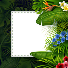 Wall Mural - Tropical leaves with white frame paper for text on dark background