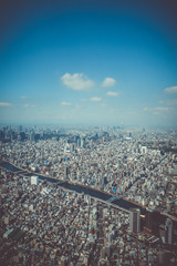 Wall Mural - Tokyo city skyline aerial view, Japan