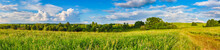 Rural Landscape. Panorama