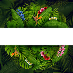 Wall Mural - Green Tropical leaves and flower. Vector foliage with place for text background