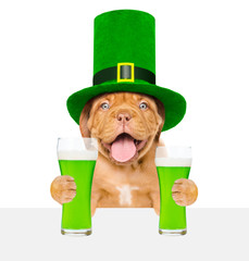 Poster - St. Patricks Day. Funny puppy in the hat of the leprechaun with a glasses of green beer above white banner. isolated on white background