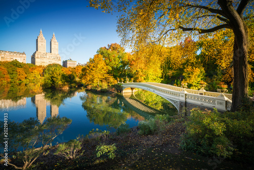 Famous Bow Bridge In New York City Central Park With