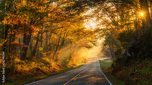 streaming-sunlight-na-north-carolina-country-road-jesienia
