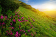 © Alekss - Mountain landscape on sun