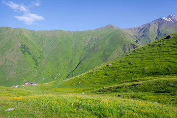 Wall Mural - Hills surrounding Juta, GEORGIA