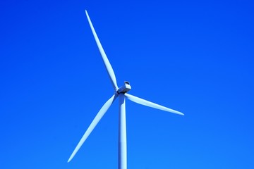 Wind Power - Blue Sky