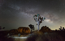 Milky Way Galaxy At Night In Joshua Tree National Park, California