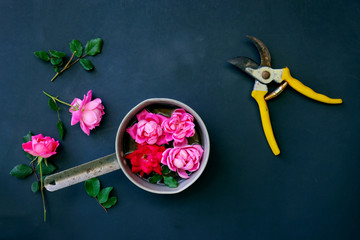 Pink rose flowers floating as bouquet in a pot, view from above. Delicate floral decoration with green leaf and roses.  