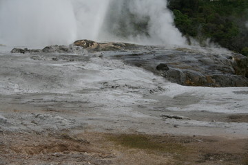 Rotorua geysers