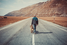 Man Walking On The Road With His Dog In The Mountains
