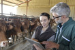 © goodluz - Farmer with veterinary in cow shed connected with digital tablet