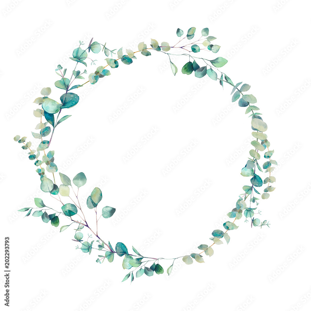 Watercolor eucalyptus branches wreath. Hand painted floral clip art ...