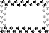 Fototapeta Kuchnia - Dog Foot Wallpaper
