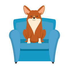 Sticker - cute dog in sofa character vector illustration design