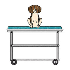 Sticker - cute dog in stretcher character vector illustration design