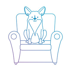 Sticker - cute dog in sofa character vector illustration design