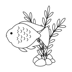 Wall Mural - cute ornamental fish with seaweed vector illustration design