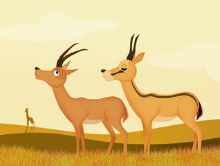 Sticker - illustration of gazelle