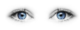 Fototapeta  - Blaue Augen