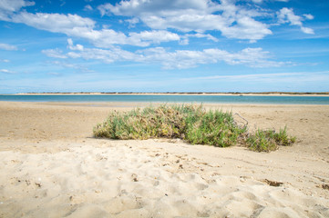 Sunny view of the local beach in Fuseta, Ria Formosa Natural park, Portugal