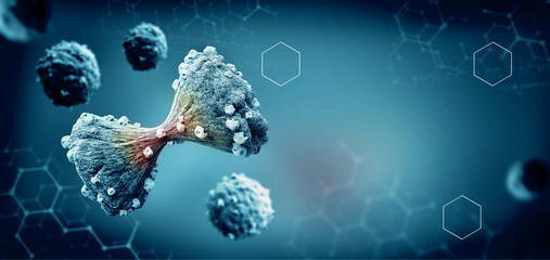 cancer cell in the moment that divides