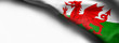 Flag of Wales on white background