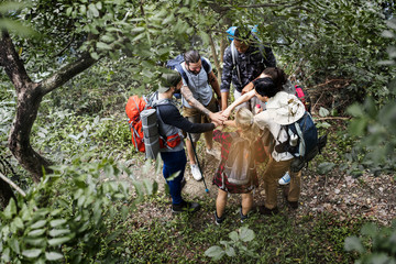 Sticker - Trekking together in a forest