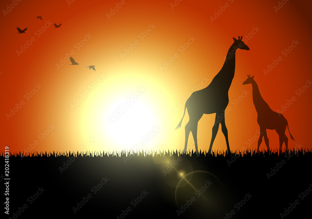 Papel de parede Giraffe silhouette in sunset at savanah