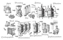 Vector Beer Infographics With Illustrations Of Brewery Process. Ale Producing Design. Hand Sketched Lager Production Scheme.