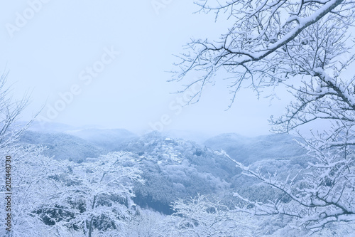 吉野山 冬景色 Buy This Stock Photo And Explore Similar Images At Adobe Stock Adobe Stock 吉野山 冬景色 Buy This Stock Photo And Explore Similar Images At Adobe Stock Adobe Stock