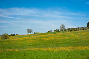 Blu,verde e giallo