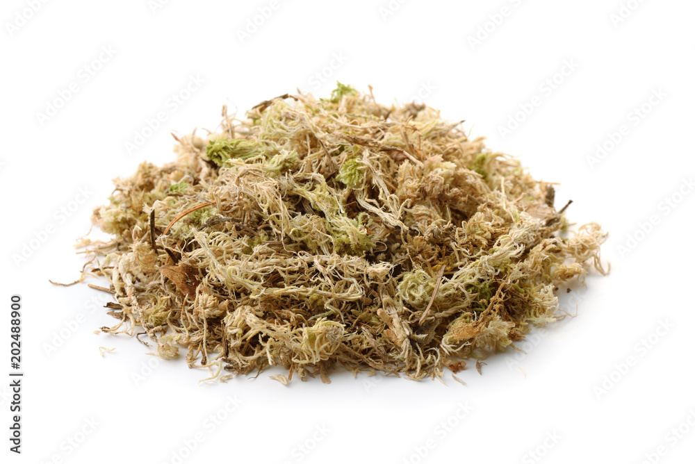Pile of dry sphagnum moss - obrazy, fototapety, plakaty 