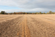 Autumn Field that has recently been harvested. Woods are at the back of the field.