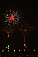 fireworks #16