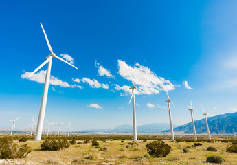 Dramatic Wind Turbine Farm in the Desert of California.