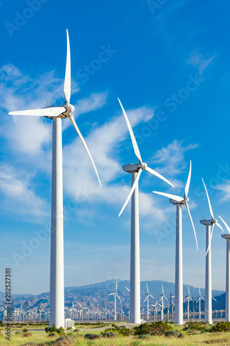 Fotografie, Obraz Dramatic Wind Turbine Farm in the Desert of California.