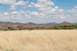 © ryan - Samburu Landscape Kenya