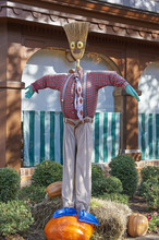 Halloween Scarecrows And Characters