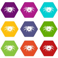 Poster - Tarantula icons 9 set coloful isolated on white for web