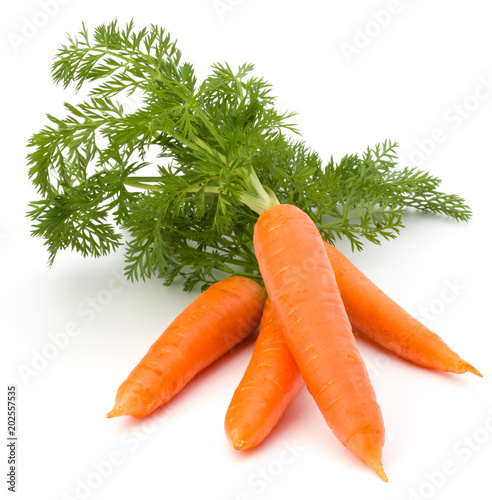 Fotomural Carrot vegetable with leaves isolated on white background cutout